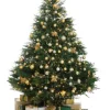 6 Foot Pre Lit Christmas Trees<Christmas Tree World The 6Ft Frosted Led Pine Fibre Optic Tree