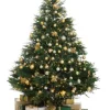6 Foot Pre Lit Christmas Trees<Christmas Tree World The 6Ft Ultra Devonshire Fir Pre-Lit With Warm White/White Colour Change Leds
